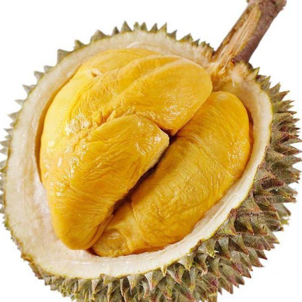D13金包丨約10KG丨6-8隻丨馬來西亞丨產地直送